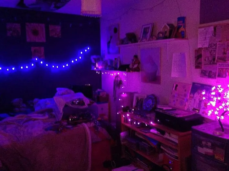 Purple LED Fairy Lights